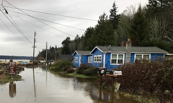 Flood houses 
